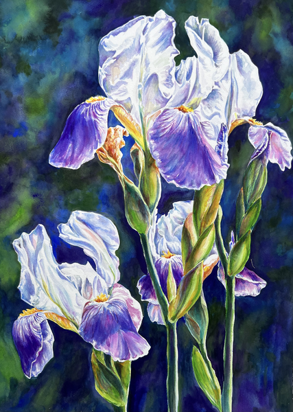 Garden Royalty Art | Eileen Baumeister McIntyre Fine Art