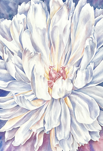 Ethereal Bloom Art | Eileen Baumeister McIntyre Fine Art