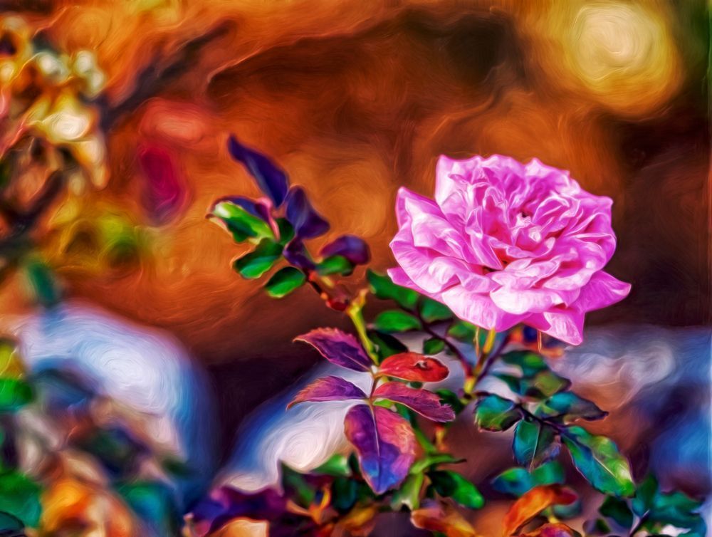 Glory Rose (2016)