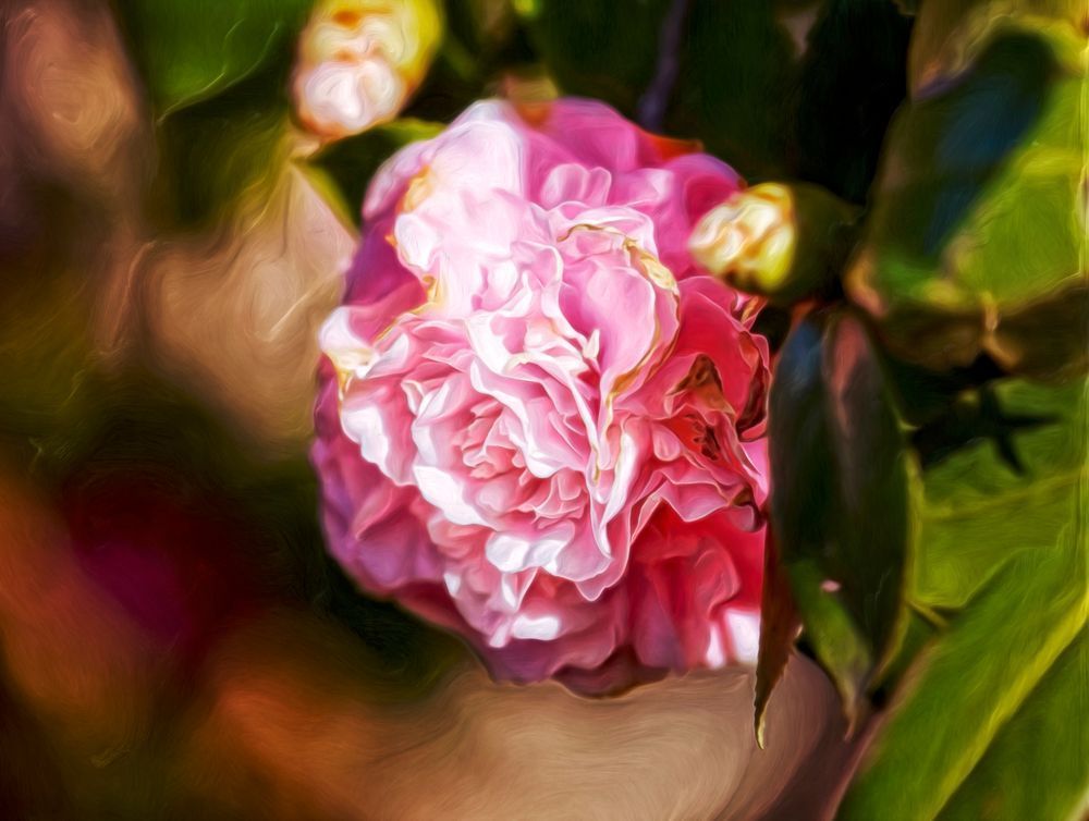 Dark Peony (2016)