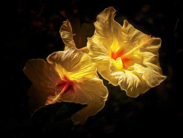 Luteum Fiore (2023)