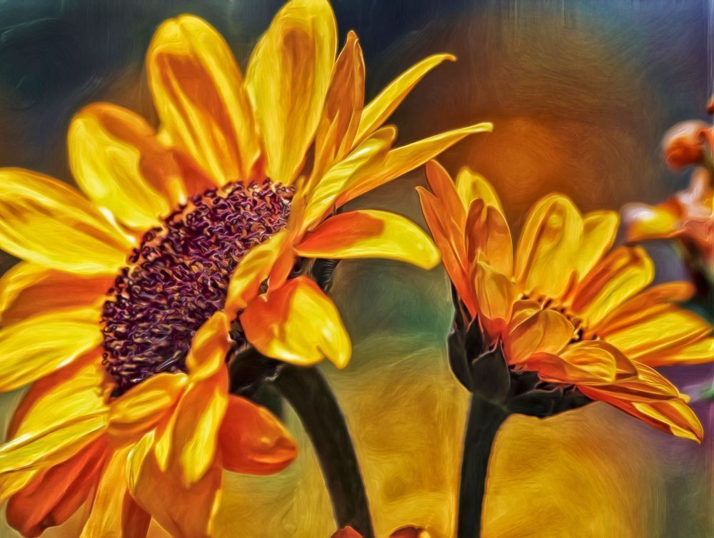 Sunflowers (2016)