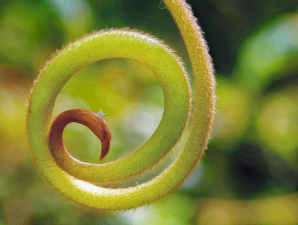 Spiralling (2015)
