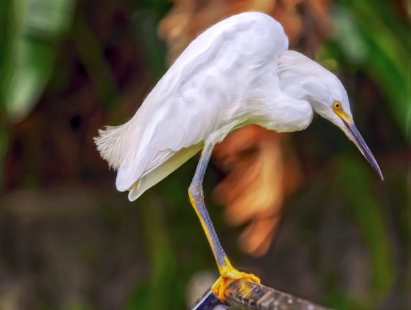 Perching (2015)