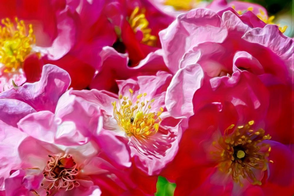 Pink Waves (2013)