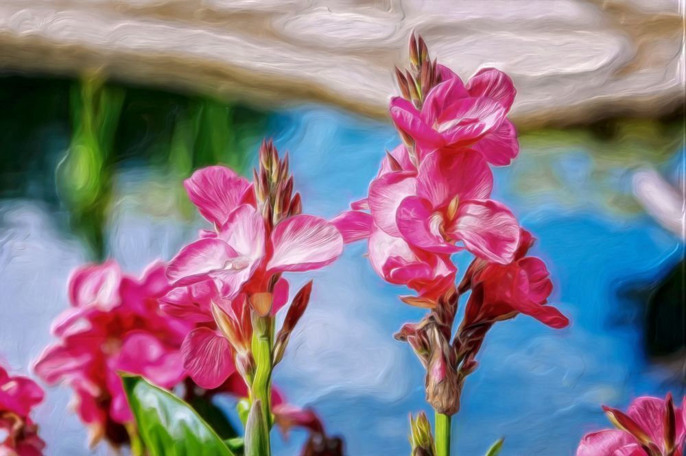 Pink Flags Waving (2011)