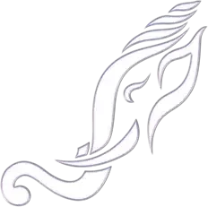 STUDIO*XEPHON