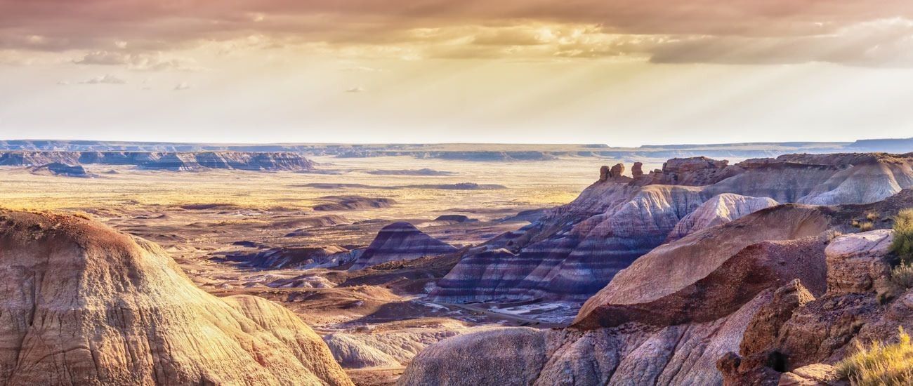 
        <div class='title'>
          dang fine art slide4
        </div>
       