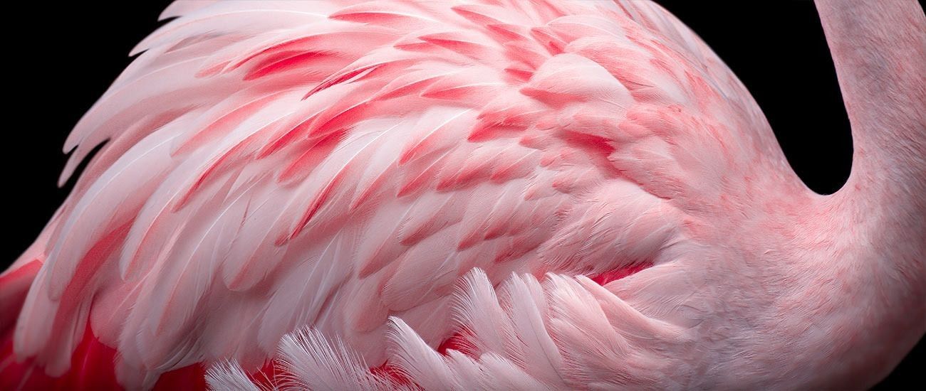 
        <div class='title'>
          dang fine art slide2
        </div>
       