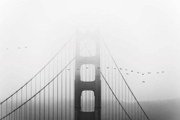 ascent-golden-gate-bridge-fog-san-francisco