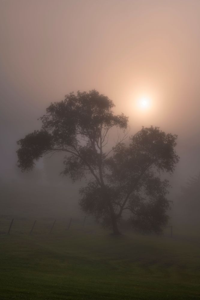 Country Solitude