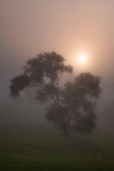 Country Solitude