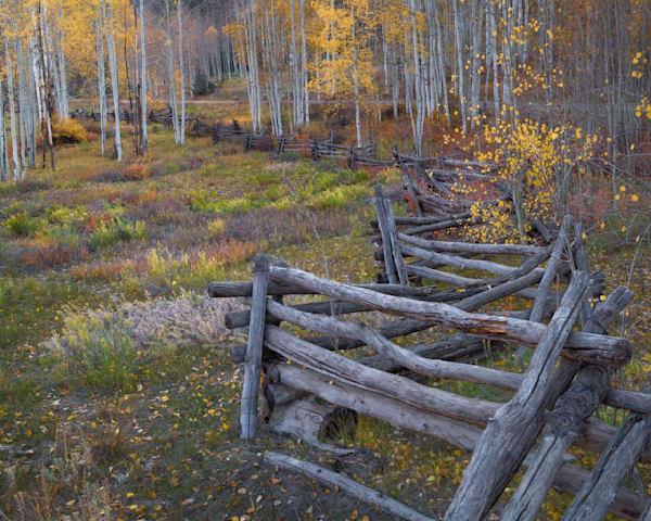 Colors of Fall