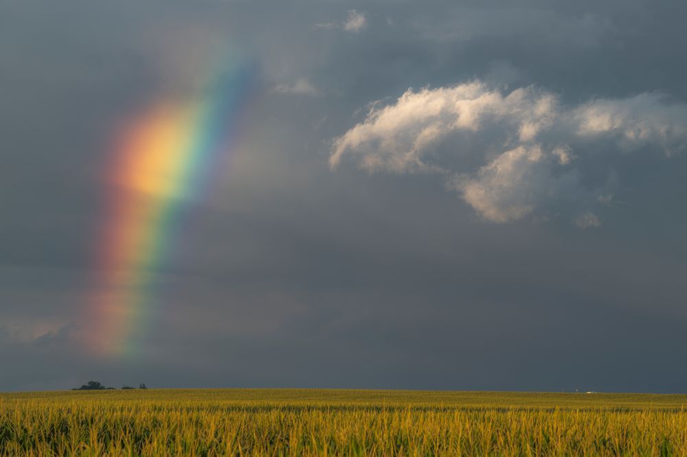 Chasing Rainbows #1