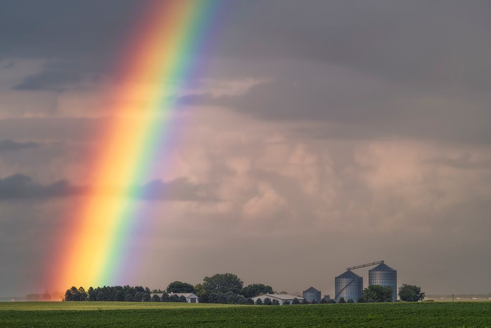 Chasing Rainbows #2