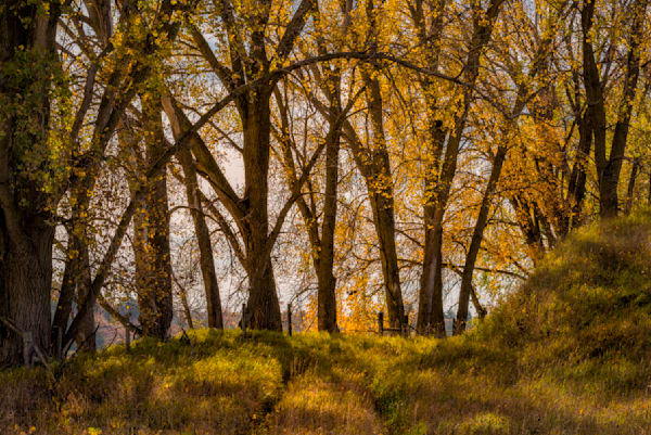 Golden Gateway