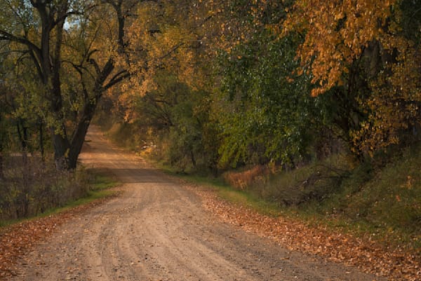 Golden Road In Loess Hills