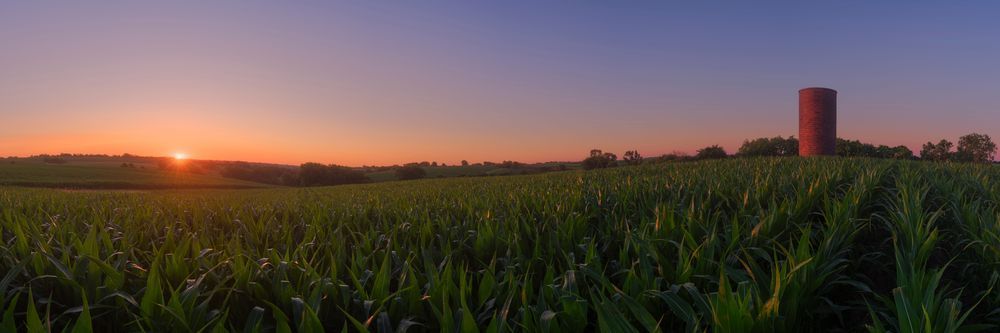 Iowa Cornfield and Rolling Hills