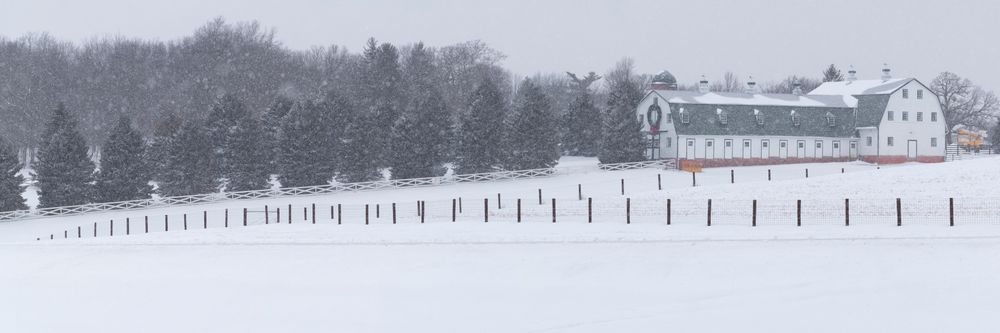 Iowa Dairy Farm