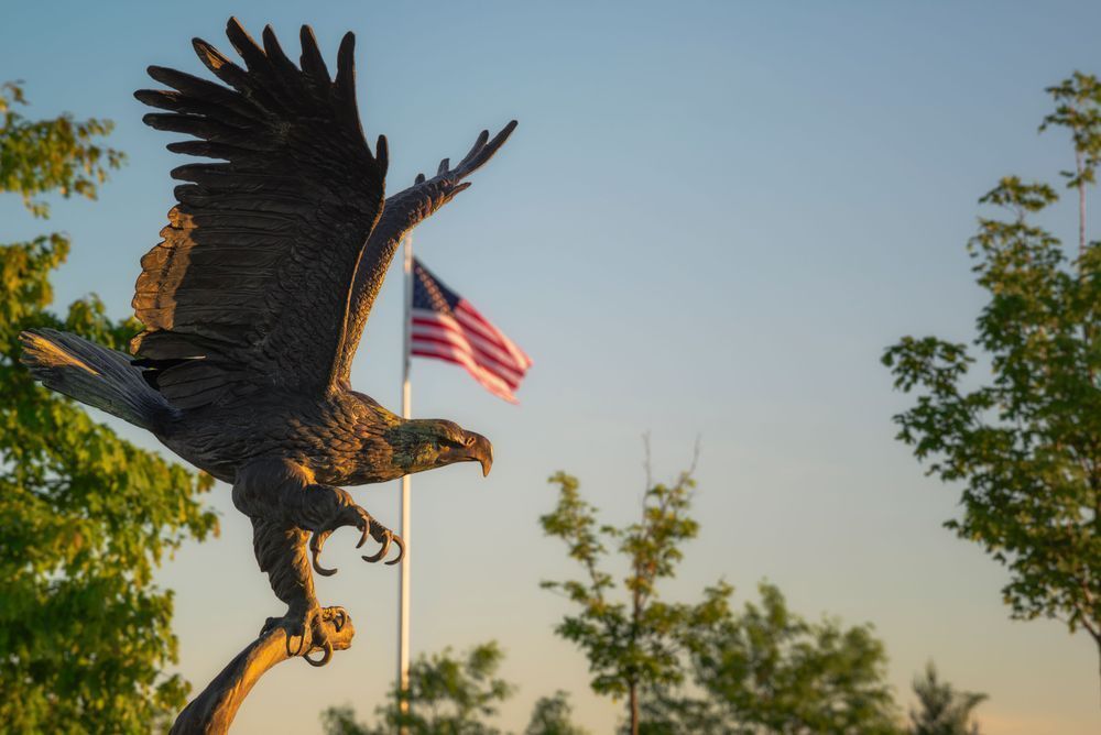 Majestic Freedom