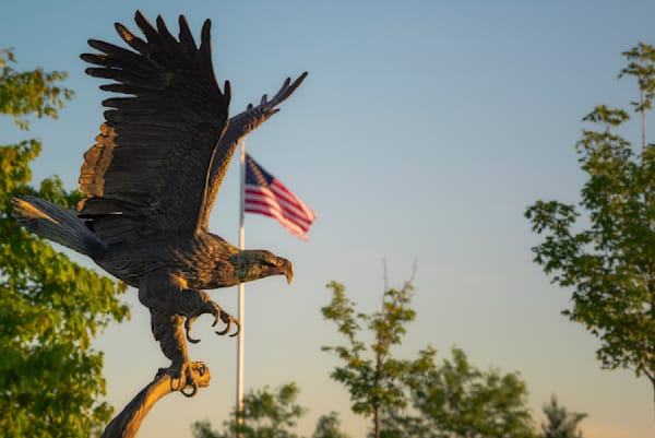 Majestic Freedom