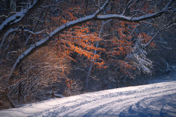 Mingling Seasons