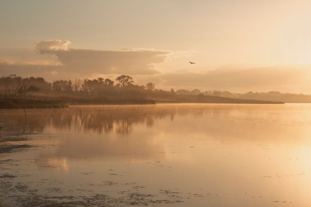 Peaceful Morning At The Water's Edge