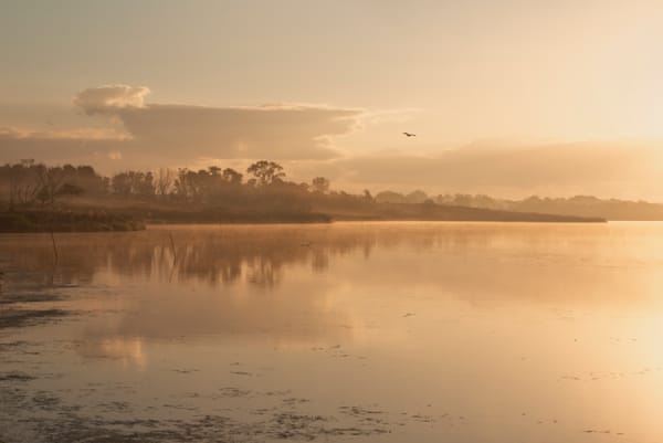 Peaceful Morning At The Water's Edge