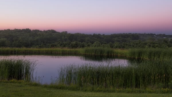 Pond Sunset #1