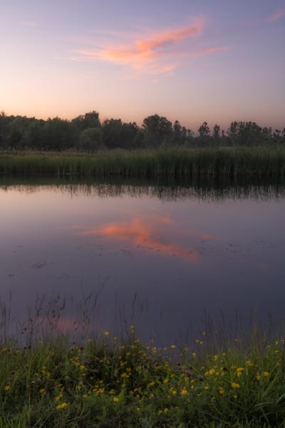 Pond Sunset #2