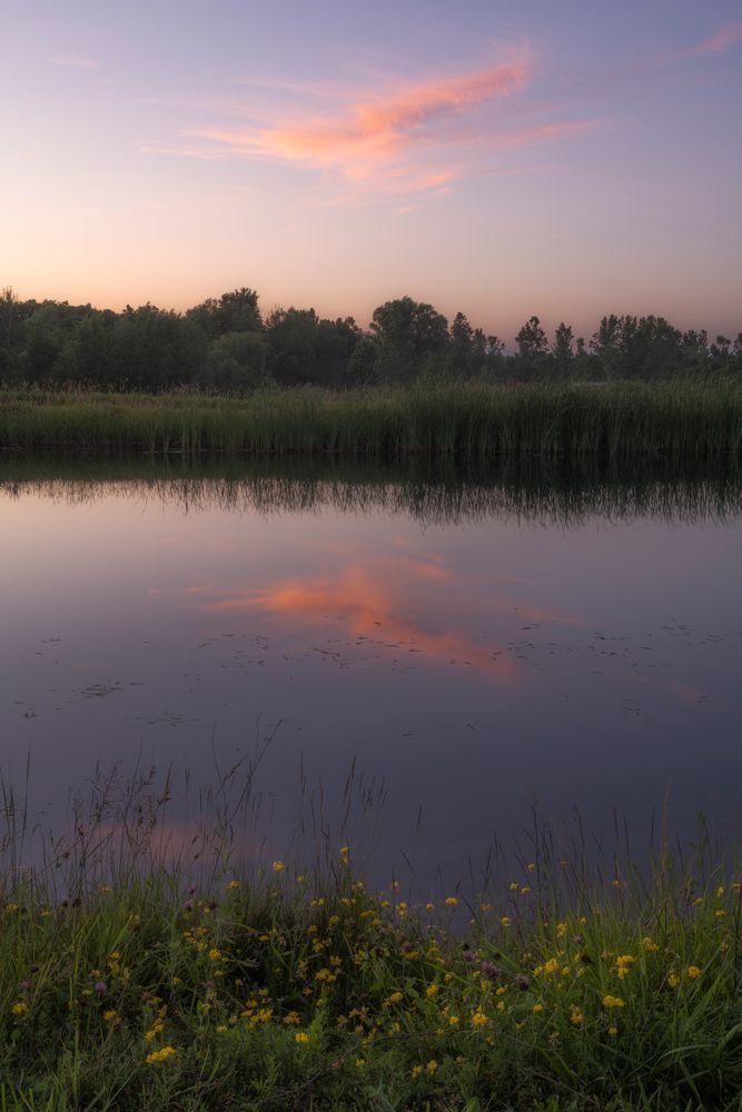 Pond Sunset #2