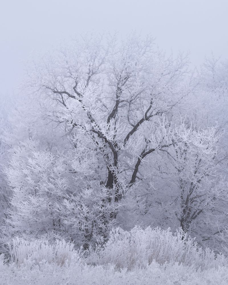 Winter Spotlight