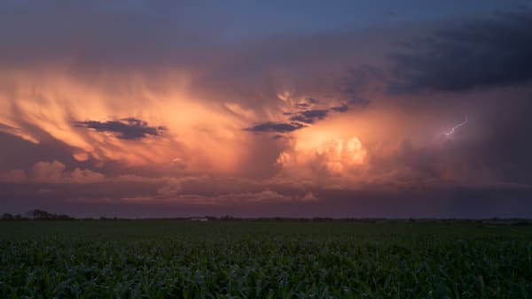 Untitled (Sunset To Remember #4)