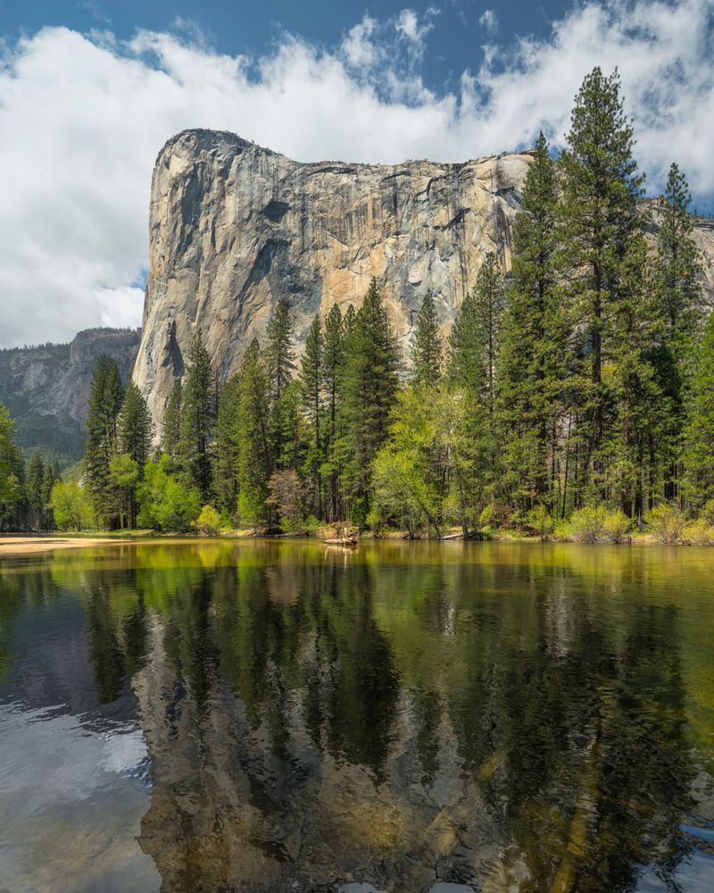 El Capitan Reflection - Merced River, Yosemite Valley