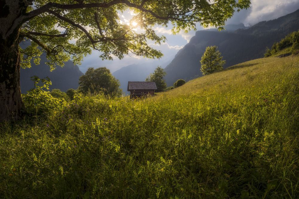 Light Returns to Hillside