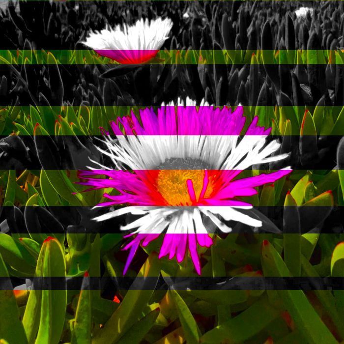 Mdawmdawmdawmdaw7qgraepd6cacehr zcfbfywxu2fyveayeunrgwctqqqltnerwweter6yomfiojy24adow ljj7f22f2vd2s3k0fn 38ezqodftc2xeuhdjufahdziomokxodj3hs jg da6ji5eudq olwagpj5emn5njindo zwfleczrwsu5kjrhmxlvclqsuifac8wp1egnin2v8qxfmw7r msabgwghayp6tbkhxbewc x2vm d15npqxtqekb86z4vuwkj9km6ewtkef3tnpdphmdstvhqzbegm6lgudeydqi9e4eikoeig hgdnd8