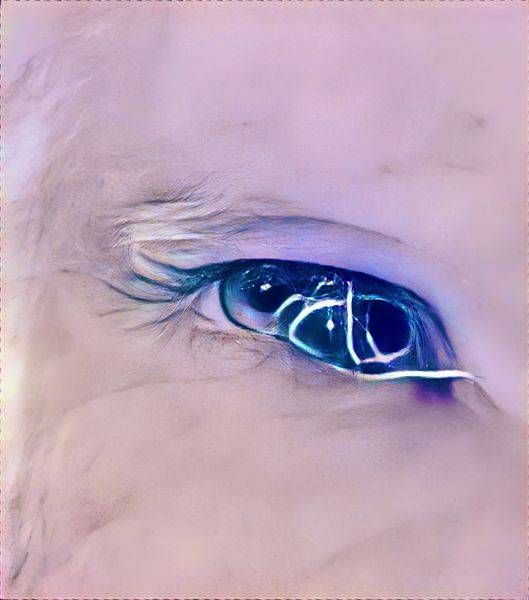 Consciousness A.I.