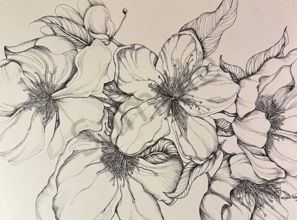 Cherry Blossoms Art | Margo's Attic