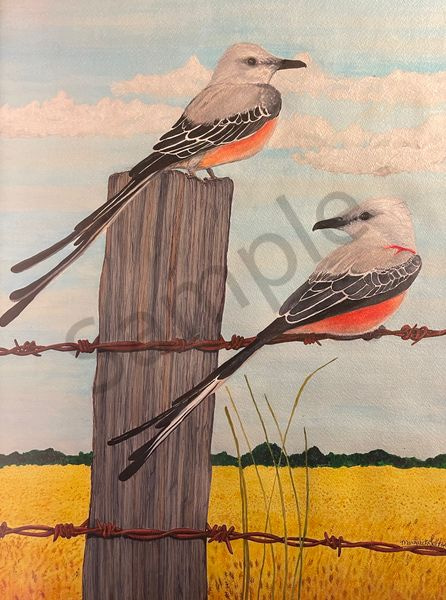Scissor Tail Fly Catchers Art | Margo's Attic