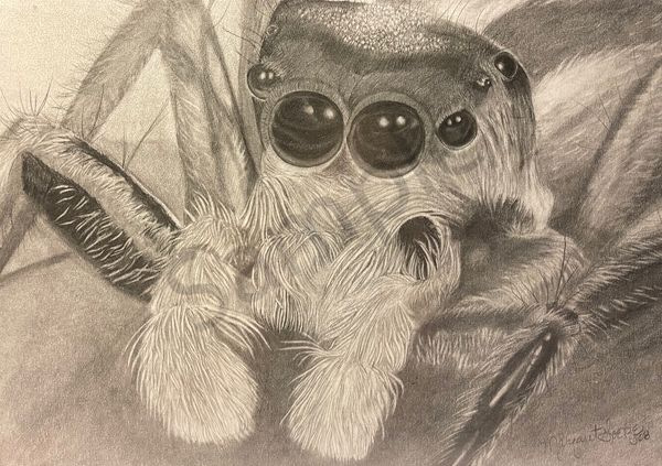 Jumper Art | Margo's Attic
