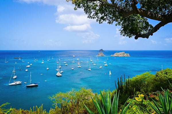 "Carte Postale" (St. Barth) Photography Art | Studio Petrino