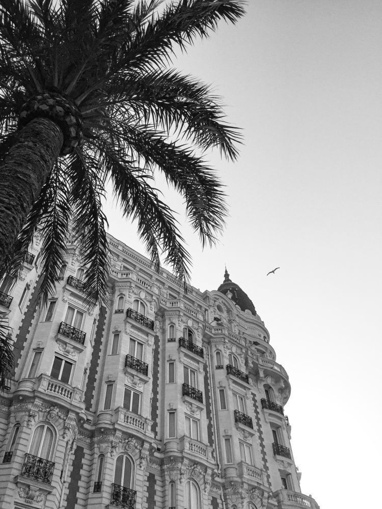 Carlton Hotel Cannes France Art Print | Studio Petrino - Classic French Riviera Elegance