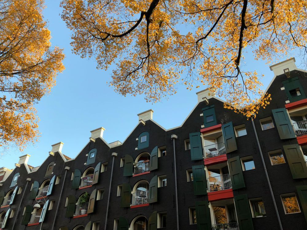 Open Shutters Amsterdam Art Print | Studio Petrino - Charming Dutch Architecture