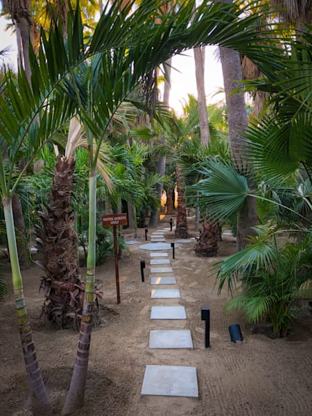 Hotel Guests Only - Acre Cabo San Lucas Art Print | Studio Petrino - Stylish Travel Art