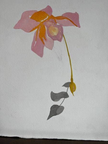 Flower on hot press paper painted by Paula Jo Freed-Acheson 