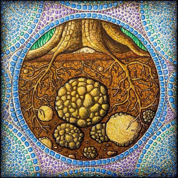 Gift Shop: Earth Star Chakra Truffle Art Print | Ma Kalulu Studio