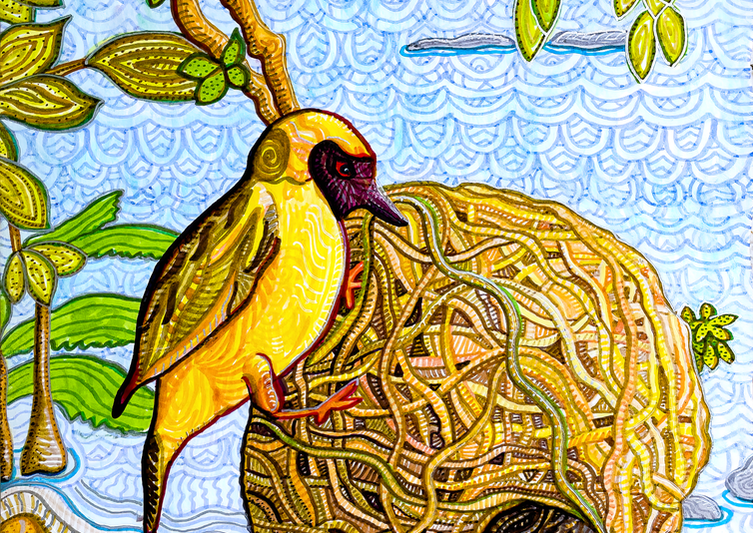 Gift Shop: Masked Weaver -Lake Malawi