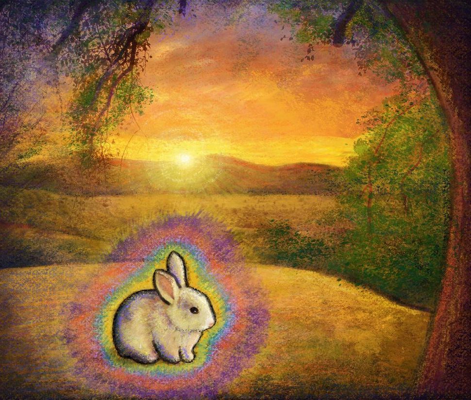Gift Shop:  Abundance Bunny Variation