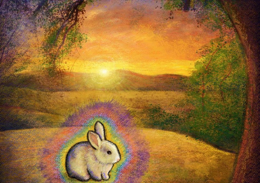 Gift Shop:  Abundance Bunny Variation