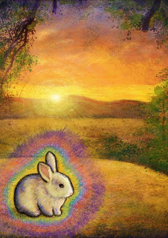 Gift Shop:  Abundance Bunny Variation